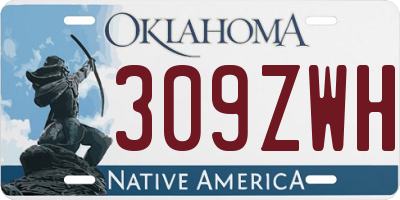 OK license plate 309ZWH