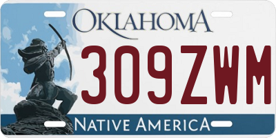 OK license plate 309ZWM