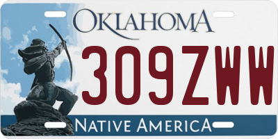 OK license plate 309ZWW