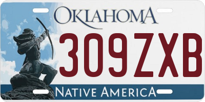 OK license plate 309ZXB