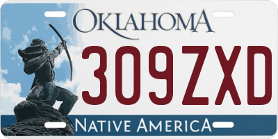 OK license plate 309ZXD