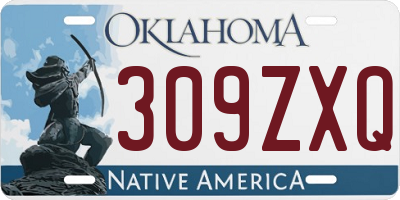 OK license plate 309ZXQ