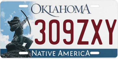 OK license plate 309ZXY