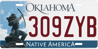 OK license plate 309ZYB