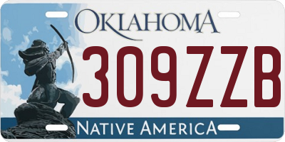 OK license plate 309ZZB