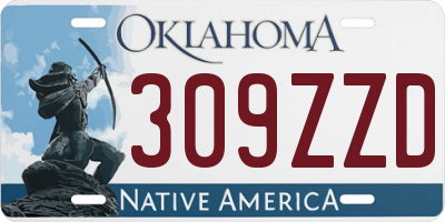 OK license plate 309ZZD