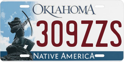 OK license plate 309ZZS