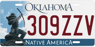 OK license plate 309ZZV