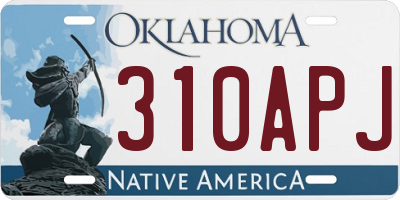 OK license plate 310APJ