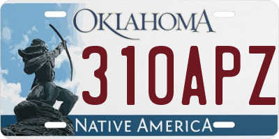 OK license plate 310APZ