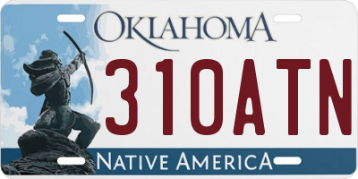 OK license plate 310ATN