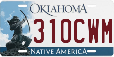 OK license plate 310CWM