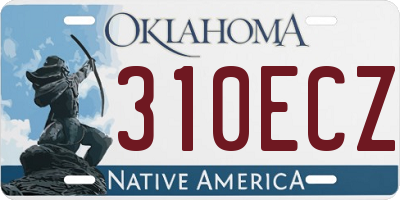 OK license plate 310ECZ