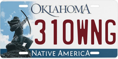 OK license plate 310WNG