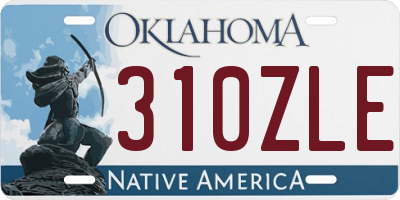 OK license plate 310ZLE