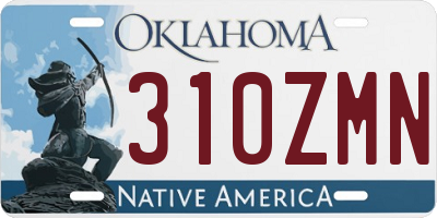 OK license plate 310ZMN