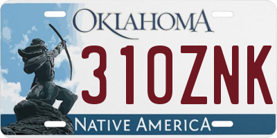 OK license plate 310ZNK