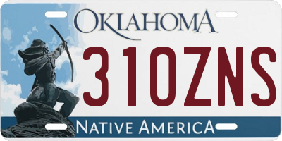 OK license plate 310ZNS