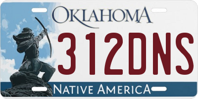OK license plate 312DNS