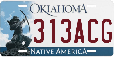 OK license plate 313ACG