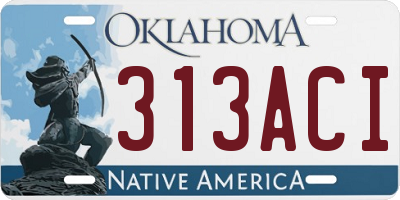 OK license plate 313ACI