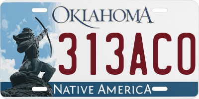 OK license plate 313ACO