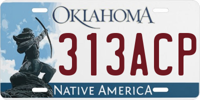 OK license plate 313ACP