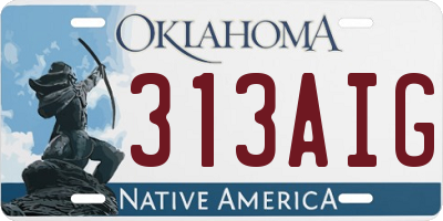 OK license plate 313AIG