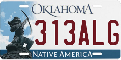 OK license plate 313ALG