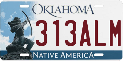 OK license plate 313ALM