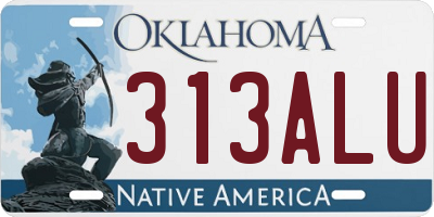 OK license plate 313ALU