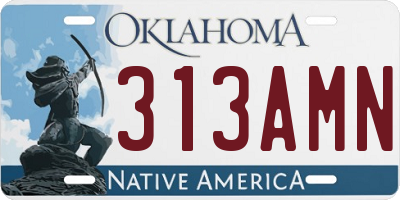 OK license plate 313AMN