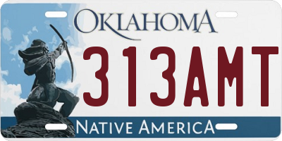 OK license plate 313AMT