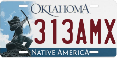 OK license plate 313AMX