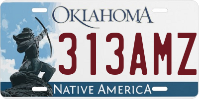 OK license plate 313AMZ