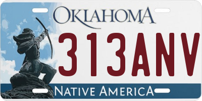 OK license plate 313ANV