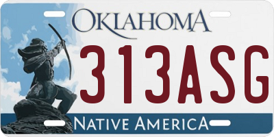 OK license plate 313ASG