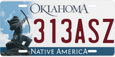 OK license plate 313ASZ