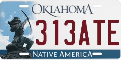 OK license plate 313ATE
