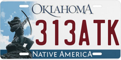 OK license plate 313ATK