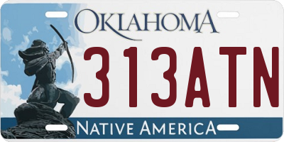 OK license plate 313ATN