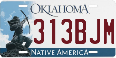 OK license plate 313BJM