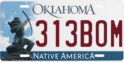 OK license plate 313BOM