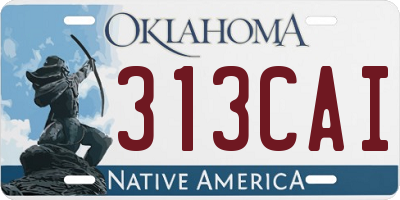 OK license plate 313CAI