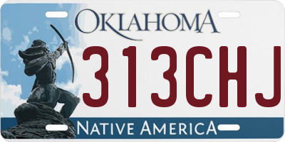 OK license plate 313CHJ