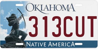 OK license plate 313CUT