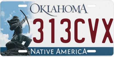OK license plate 313CVX