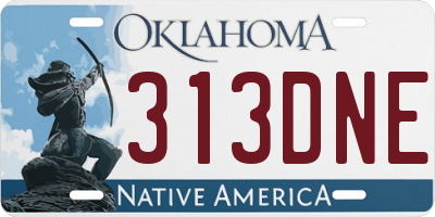 OK license plate 313DNE