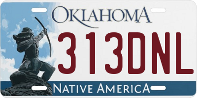OK license plate 313DNL