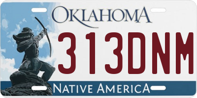 OK license plate 313DNM